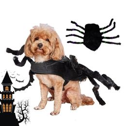 Cat Costumes Cat Spider Cosplay For Halloween Adjustable Spider Cosplay With Scary Furry Legs Dog Cat Apparels For Theme Party Halloween Part 231011