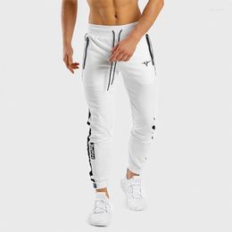 Men's Pants Pocket Zipper Grey Sports Leg Autumn And Winter Jogger Large Size Training Slimming Cotton Sportswear