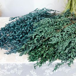 Decorative Flowers Real Natural Plant Eucalyptus Dried Green Leaves Home Decoration Christmas Outdoor Wedding Party Flower Arrangement DIY