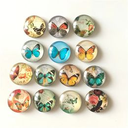 Fridge Magnets 14pcslotVarious Butterfly Crystal Glass fridge magnet Cartoon animal message sticker Kitchen home Decor 231010