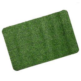 Decorative Flowers Lawn Mats Outdoor For Front Door Turf Floor Fake Grass Rug Artificial Plastic