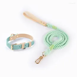 Dog Collars Leather Pet Collar With Leash Cat Accessories Macaron Colour Stylish And Good-looking