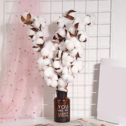 Decorative Flowers 3Pcs 10 Heads Cotton Stems Dried Flower Branch Plants Floral Decor For Bedroom Office Balcony Decoraotion