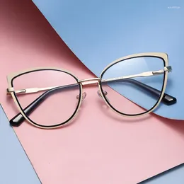 Sonnenbrille 2023 Übergroße optische Brillengestelle Transparente Brillen Anti-Blaulicht Damen Cat Eye Markendesigner