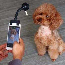 Dog Apparel Pet Selfie Stick Smartphone Attachment Cat Selfies Portraits Pets Take Pos Training Toys Portable Pographing Suppliers