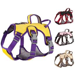 Cat Collars Leads Adjustable Pet Dog Harness No Pull Padded Waterproof Breathable and Reflective Soft Chest Strap Vest Harness Collar For Dogs 231011