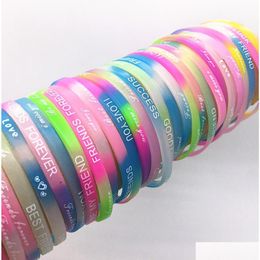 Jelly Whole 100Pcspack Mix Lot Luminous Glow In The Dark Sile Wristbands Bangle Brand New Drop Mens Womens Party Gifts7693075 Jewellery Dh7Mp