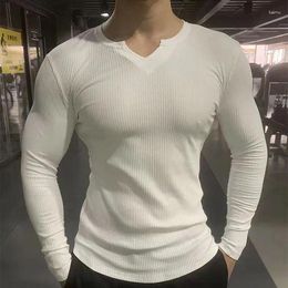 Men's Polos Sports Thread V-Neck Long Sleeve Fitness Running T-shirt Elastic Top Casual Solid Color Underlay Spring And Autumn Clo