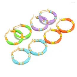 Hoop Earrings 1 Pair 30mm Stainless Steel Colourful Enamel Round Wire For Fashion Jewellery Earring Women Gifts Wholesale Retail