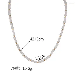 Chains Personalized Necklace Designed By Female Niche High-end Titanium Steel BVE23