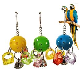 Other Bird Supplies Dorakitten 3Pcs Parrot Hanging Ball Toys Bite Resistant Ring Toy Pet Random Color