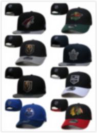 NEW Style Ice Hockey Snapback Caps Adjustable Caps Hot Christmas Sale HatsGreat Headwear Snapbacks Vintage Hoc H11-10.13