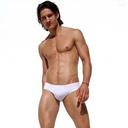 Underpants Mens Briefs BOYTHOR Cotton Plus Size Men Underwear Panties Men's Breathable Solid Sexy Comfortable Shorts