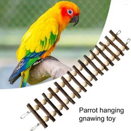 Other Bird Supplies Eco-friendly Pet Toy Hanging Colourful With Natural Wood For Exercise Easy Installation Bendable