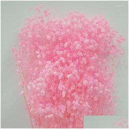 Decorative Flowers Natural Gypsophila For Diy Home Party Decor Table Vase Parents Friend Children Floral Wedding Pink White Blue Dh5Wi