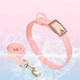 Cat Collars Leads CAWAYI KENNEL Cute Candy Color Pet Collar Leash Set Outside Training Walking Leads for Small Cat Dog Adjust Collar Leashes Set 231011