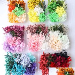 Decorative Flowers Natural Dried Flower Petals For Diy Making Mobile Phone Case Candle Handmade Crafts Table Decoration Wedding Dhzqo