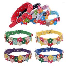 Cat Collars 8-color Double Row Flower Pet Collar Small Dog Pu Leash Traction Supplies