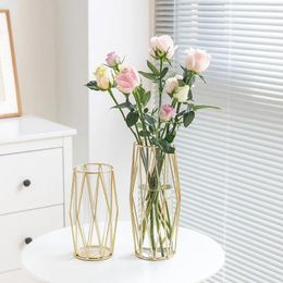 Vases Nordic Instagram Style Hydroponic Light Luxury Dining Table Transparent Wrought Iron Metal Glass Gold Small Vase Ornaments