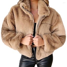 Women's Fur Imitation Jacket Faux Coat In Europe And America Versatile Warm Casual Zip Overcoat Autumn Winter