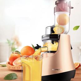 Juicers Multi-Functional Large-Diameter Household Automatic Fruit And Vegetable Juicer Fried Portable