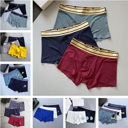 Mens Boxers Underpants Designer Print Man Briefs Sexy Breathable Underwear Shorts High Quality Men Boxer 3pcs Lot With Box 2XL 3XL249i