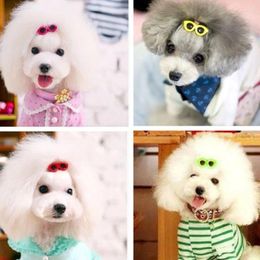 Dog Apparel 10 Pcs/set Pet Grooming Accessories Colourful Cats Bows Hairpin Headdress Clip Bow Hair Sunglass