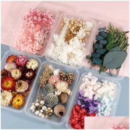 Decorative Flowers & Wreaths Decorative Flowers Wreaths 1 Box Colorf Real Dried Flower Plant For Candle Epoxy Resin Pendant Necklace J Dhxiq