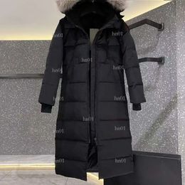 Designer Canadian Goose Mens Puffer Down Womens Jacket Down Parkas Winter Thick Warm Coats Womens Windproof Embroidery Letters453