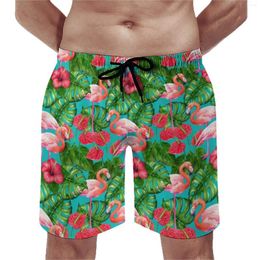 Men's Shorts Summer Gym Flamingo Birds Running Surf Tropical Garden Custom Beach Casual Quick Dry Swim Trunks Plus Size