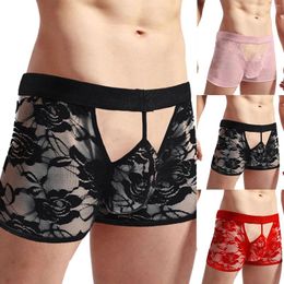 Underpants Mens Low Waist Sexy Underwear Ice Lace Contrast Thong T Pants N Cool