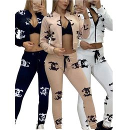 Two Piece Pants Tracksuit Sweat Suits Women Casual Zip Jacket and Sweatpants Sets Free Ship