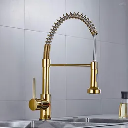 Bathroom Sink Faucets Solid Brass Kitchen Faucet Gold Polished Spring Single Hand Modern And Cold Water Pull Out