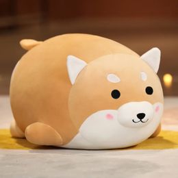 Plush Dolls Lovely Fat Shiba Inu Corgi Dog Toys Stuffed Soft Kawaii Animal Cartoon Pillow Gift for Kids Baby Children 231013