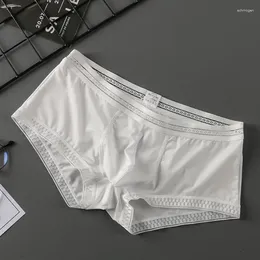 Underpants 2023 Sexy Ice Silk Men Underwear Seamless Transparent Boxer Shorts Ultra-thin Breathable Comfortable Soft Panties