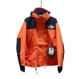 North Designer Faced Down Jacket Original Quality High Edition North Version 1990 Stormtrooper Chip Three In One Men's And Women's Outdoor Mountaineering Jacket