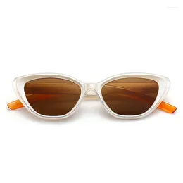 Sunglasses 2023 Cat's Eye Tea-colored Upscale Ladies INS Vintage Star Rivet