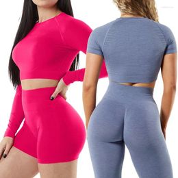 Women's Two Piece Pants Amplify Seamless Yoga Sets Women Workout Gym Set Scrunch BuShorts Leggings Crop Top Clothing Fitness Sports Suit