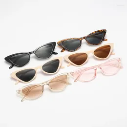 Sunglasses Small Cat Eye Women Retro Triangle Sun Glasses Men Protection Fashion Eyewear Design UV400