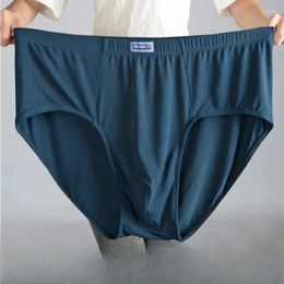 Underpants Cotton Big Size Men's Boxers Plus Large Shorts Breathable Underwear 6XL 7XL Boxer Freegun