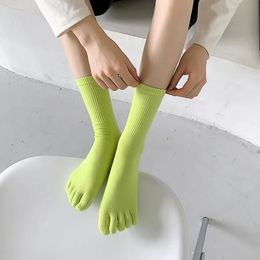 Socks Hosiery Candy Colour Split Toe Socks Simple Japanese Five Finger Socks Women Men Middle Tube 5 Toe Cotton Socks Sports Running Streetwear 231016