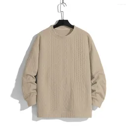 Men's Sweaters Mens Knitted Sweater Winter Tops Casual Clothes Crewneck Chunky Knit Pullover