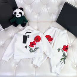 luxury kids Tracksuits fashion autumn suit for girl Size 90-150 CM 2pcs Red flower green leaf pattern cotton sweater and casual pants Sep01