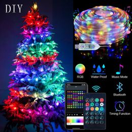 DC5V LED String Christmas Lights for Bedroom WS2812B RGB Led Light Bluetooth Full Color Addressable Individually 2/5/10m