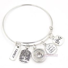 Whole Snap Jewellery Adjustable Expandable Wire Bangle Memorial Family Tree Charm Bracelets Snap Button Bracelets for Family Gif304N