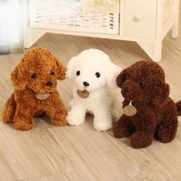 Plush Dolls 18 25 cm Simulation Dog Poodle Toys Cute Animal Suffed Doll for Christmas Gift 231016