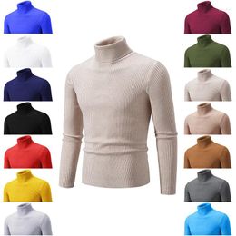 Men's Sweaters 2023 Autumn And Winter High Neck Slim Fit Bottom Shirt Solid Candy Multi Colour Casual Sweater