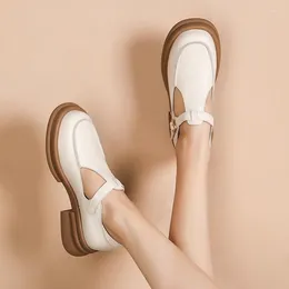 Dress Shoes Spring And Autumn 2023 Fat Feet Large Size Women's Thick Heel Circle Tip Button Mary Jane Retro Small Leather