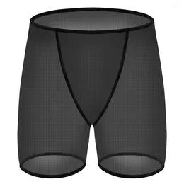 Underpants Gays Sexy Transparent Boxer Shorts For Men Fashion Fun Underwear Fine Mesh Aro Pants Sissy Sheer Breathable Homme Bottom Panties