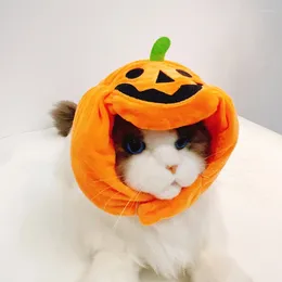 Dog Apparel Halloween Pumpkin Bat Print Pet Cat Hat Cute Fashion Head Cover Contrast Color Funny Decoration Accessories